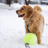 PetSprout™ | Supreme XXL Tennis Ball for Pets