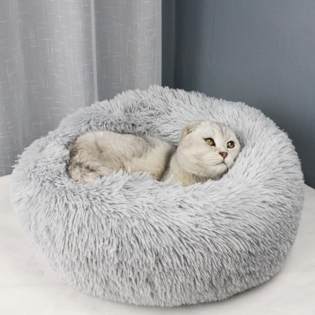 CuddleSprout™ | Cuddly Cat Bed