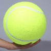 PetSprout™ | Supreme XXL Tennis Ball for Pets